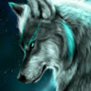 Meet your Posher, Gustavo